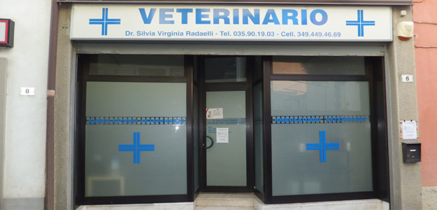 Ambulatorio Veterinario Suisio - Orari